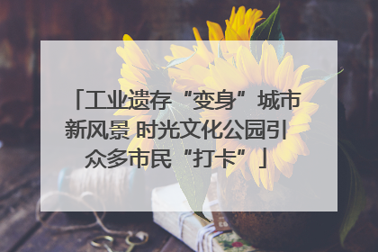 工业遗存“变身”城市新风景 时光文化公园引众多市民“打卡”