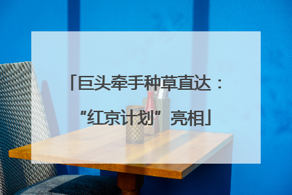 巨头牵手种草直达：“红京计划”亮相