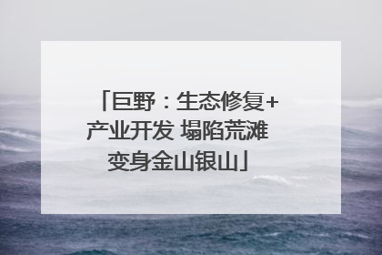 巨野：生态修复+产业开发 塌陷荒滩变身金山银山