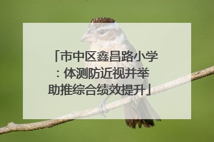 市中区鑫昌路小学：体测防近视并举 助推综合绩效提升