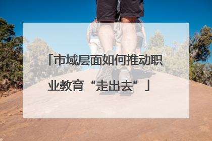 市域层面如何推动职业教育“走出去”
