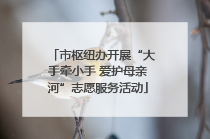 市枢纽办开展“大手牵小手 爱护母亲河”志愿服务活动