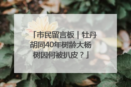 市民留言板｜牡丹胡同40年树龄大杨树因何被扒皮？