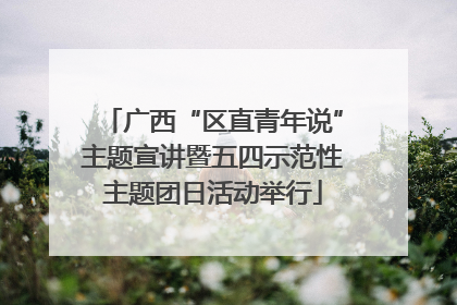 广西“区直青年说”主题宣讲暨五四示范性主题团日活动举行