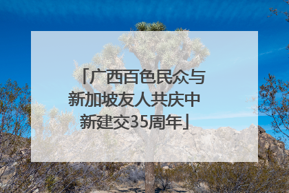 广西百色民众与新加坡友人共庆中新建交35周年