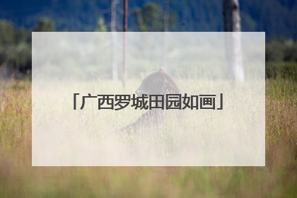 广西罗城田园如画