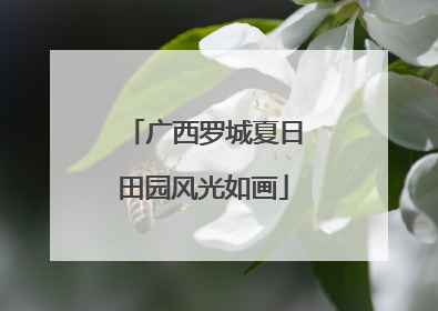 广西罗城夏日田园风光如画