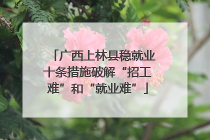 广西上林县稳就业十条措施破解“招工难”和“就业难”