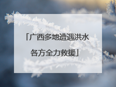 广西多地遭遇洪水 各方全力救援