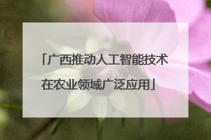 广西推动人工智能技术在农业领域广泛应用