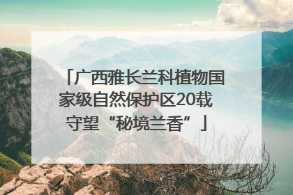 广西雅长兰科植物国家级自然保护区20载守望“秘境兰香”