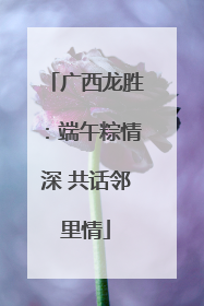 广西龙胜：端午粽情深 共话邻里情