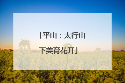 平山：太行山下美育花开