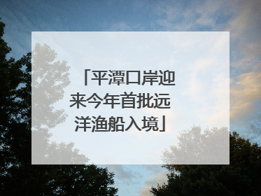 平潭口岸迎来今年首批远洋渔船入境