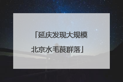 延庆发现大规模北京水毛茛群落