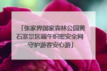 张家界国家森林公园黄石寨景区端午织密安全网 守护游客安心游