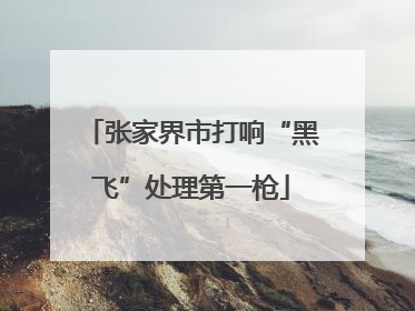 张家界市打响“黑飞”处理第一枪