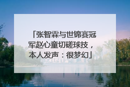 张智霖与世锦赛冠军赵心童切磋球技，本人发声：很梦幻