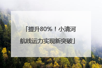 提升80％！小清河航线运力实现新突破