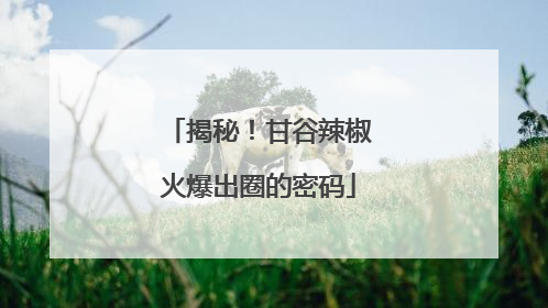 揭秘！甘谷辣椒火爆出圈的密码