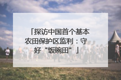 探访中国首个基本农田保护区监利：守好“饭碗田”