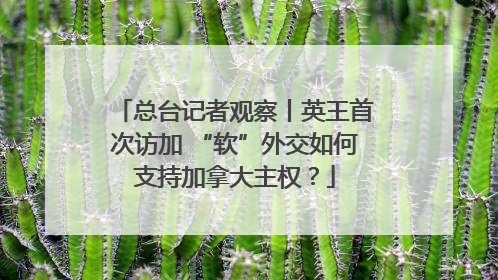 总台记者观察丨英王首次访加 “软”外交如何支持加拿大主权？