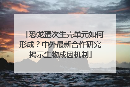 恐龙蛋次生壳单元如何形成？中外最新合作研究揭示生物成因机制