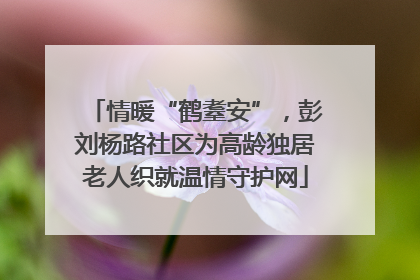 情暖“鹤耋安”，彭刘杨路社区为高龄独居老人织就温情守护网