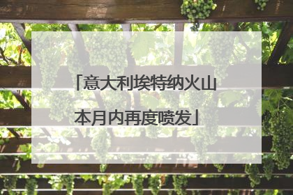 意大利埃特纳火山本月内再度喷发