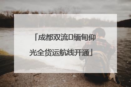 成都双流⇌缅甸仰光全货运航线开通