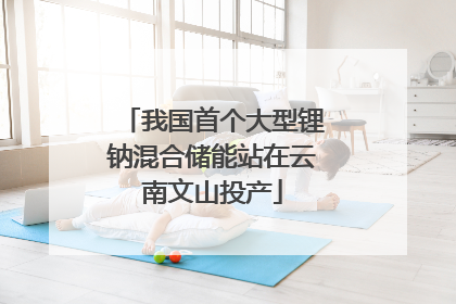 我国首个大型锂钠混合储能站在云南文山投产