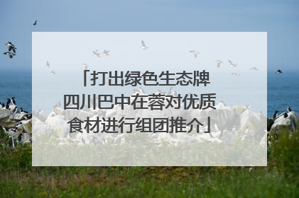 打出绿色生态牌 四川巴中在蓉对优质食材进行组团推介