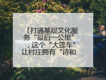 打通基层文化服务“最后一公里”，这个“大篷车”让村庄拥有“诗和远方”
