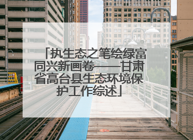 执生态之笔绘绿富同兴新画卷——甘肃省高台县生态环境保护工作综述
