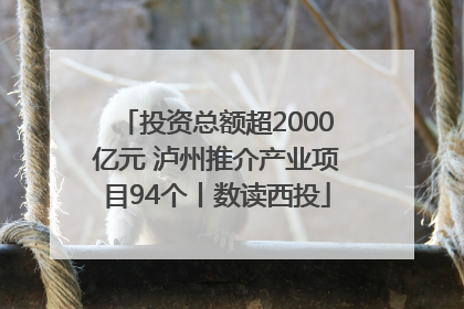 投资总额超2000亿元 泸州推介产业项目94个丨数读西投