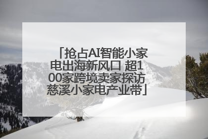 抢占AI智能小家电出海新风口 超100家跨境卖家探访慈溪小家电产业带