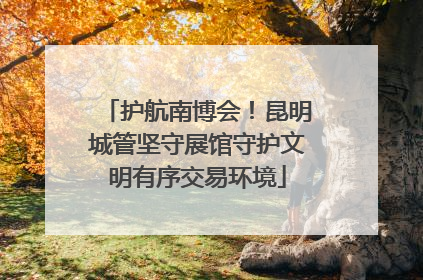 护航南博会！昆明城管坚守展馆守护文明有序交易环境