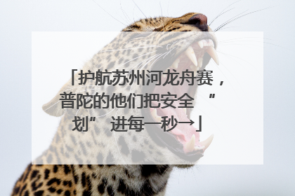 护航苏州河龙舟赛，普陀的他们把安全 “划” 进每一秒→