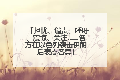 担忧、谴责、呼吁、震惊、关注……各方在以色列袭击伊朗后表态各异