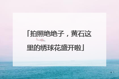 拍照绝绝子，黄石这里的绣球花盛开啦