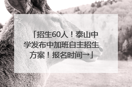 招生60人！泰山中学发布中加班自主招生方案！报名时间→