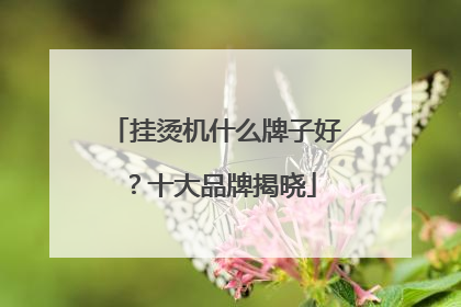 挂烫机什么牌子好？十大品牌揭晓
