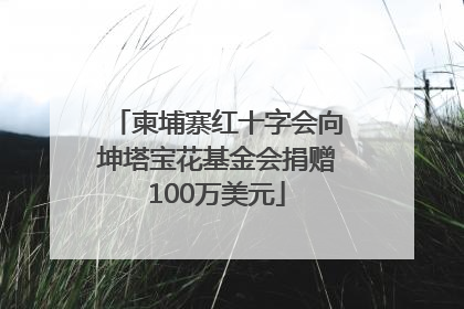 柬埔寨红十字会向坤塔宝花基金会捐赠100万美元