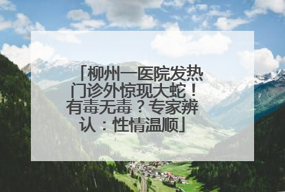 柳州一医院发热门诊外惊现大蛇！有毒无毒？专家辨认：性情温顺