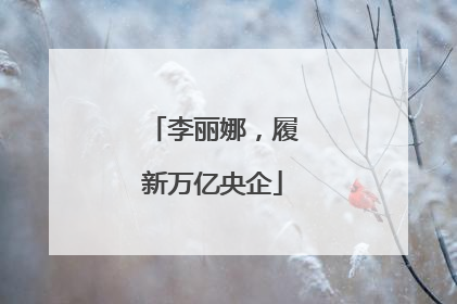 李丽娜，履新万亿央企