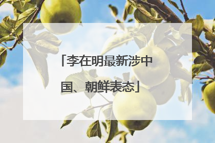 李在明最新涉中国、朝鲜表态