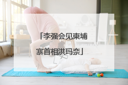 李强会见柬埔寨首相洪玛奈