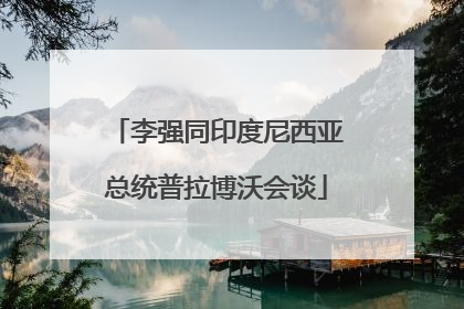 李强同印度尼西亚总统普拉博沃会谈