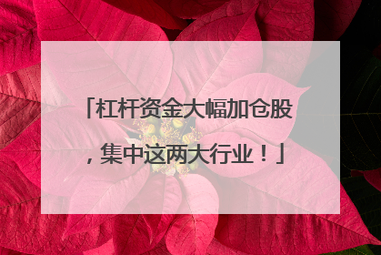 杠杆资金大幅加仓股，集中这两大行业！