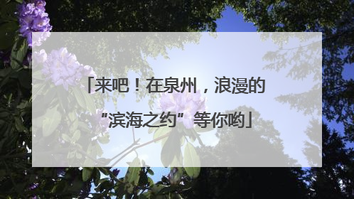 来吧！在泉州，浪漫的“滨海之约”等你哟